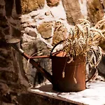 Marmurowa Winnica Apartamento *