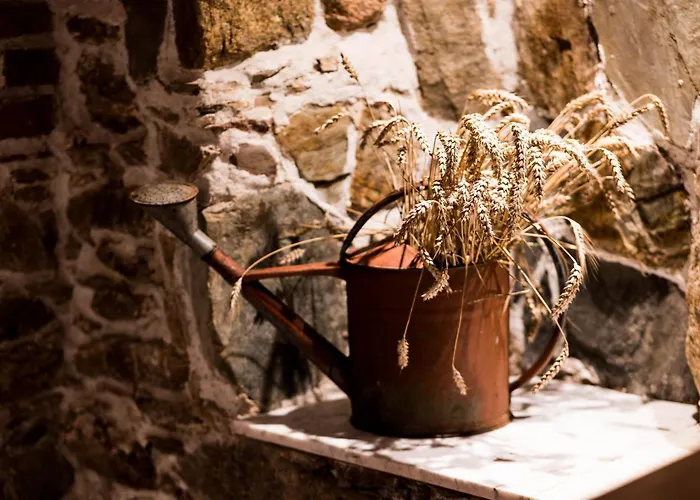 Marmurowa Winnica Apartment *